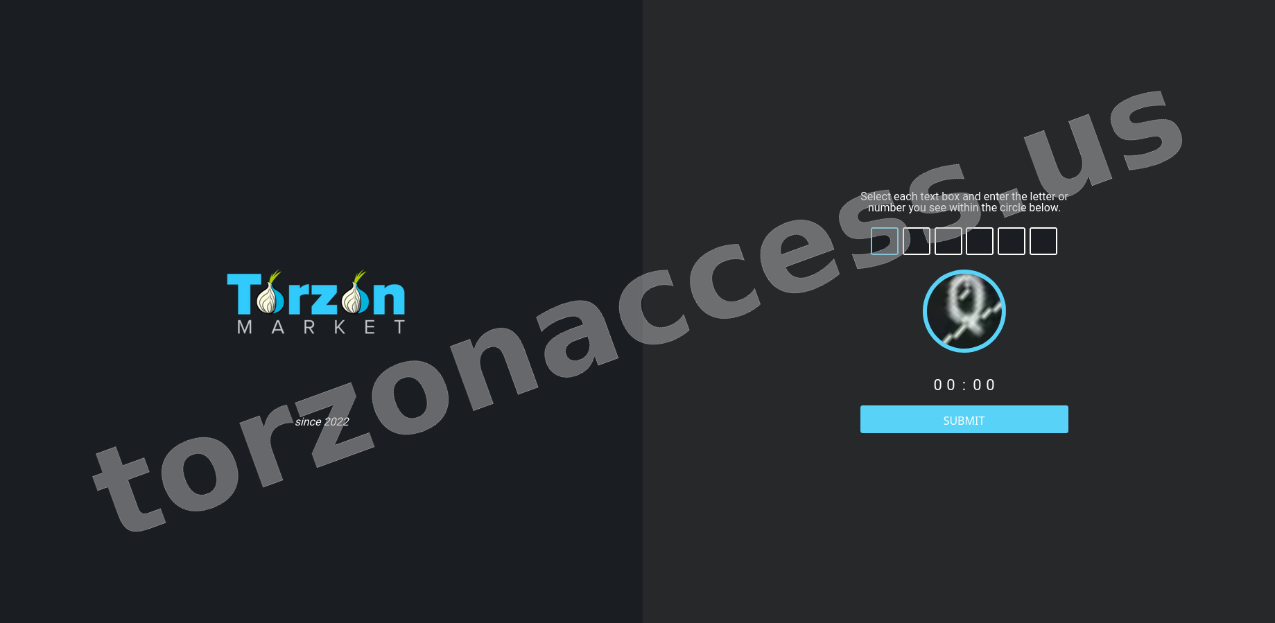 DDoS Protection Screen