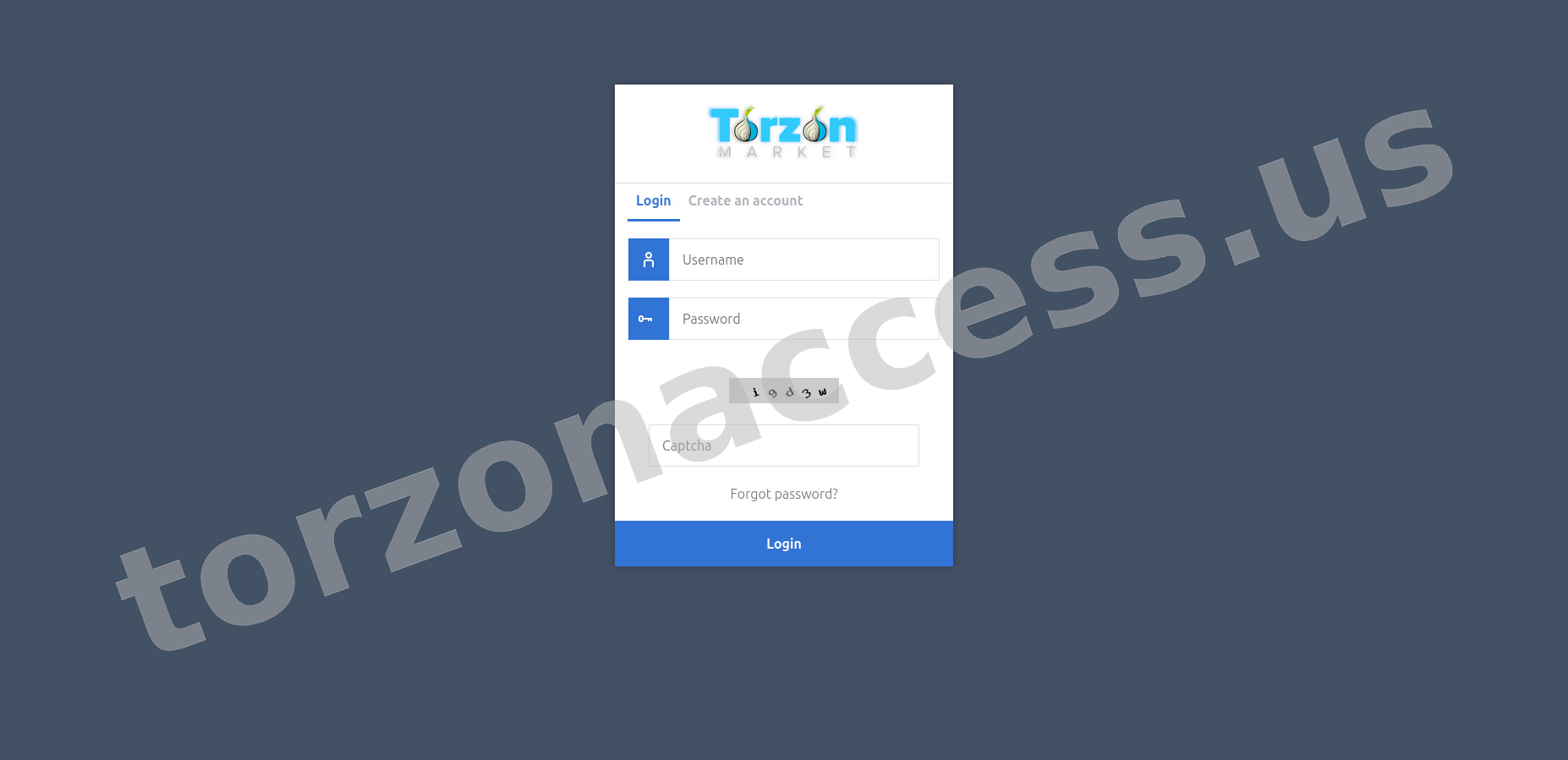 User Login Interface